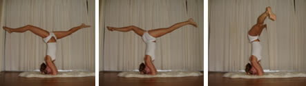 Plow - Halasana A2