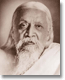 Yoga Integral Sri Aurobindo