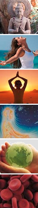 Yoga Premises