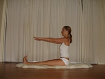 DANDASANA WITH EXTENDED ARMS PARALLEL TO THE FLOOR