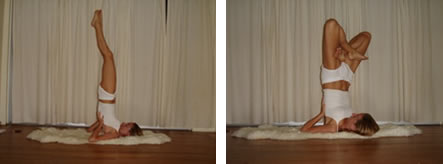 SHOULDER STAND - SARVANGASANA SHOULDER STAND - SARVANGASANA