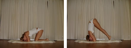 HEAD STAND - SIRSASANA HEAD STAND - SIRSASANA