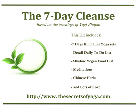 The 7 - Day Cleanse