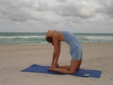 CAMEL POSE