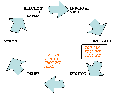 Cycle Diagram