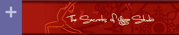 The Secrets of Yoga