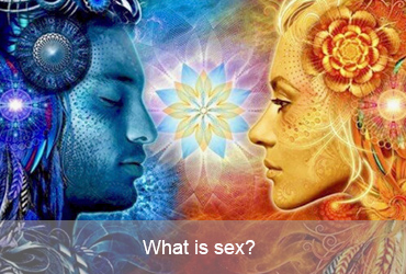 What is Sex?